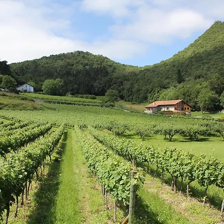 컨트리하우스 Ecohotel Rural Angiz